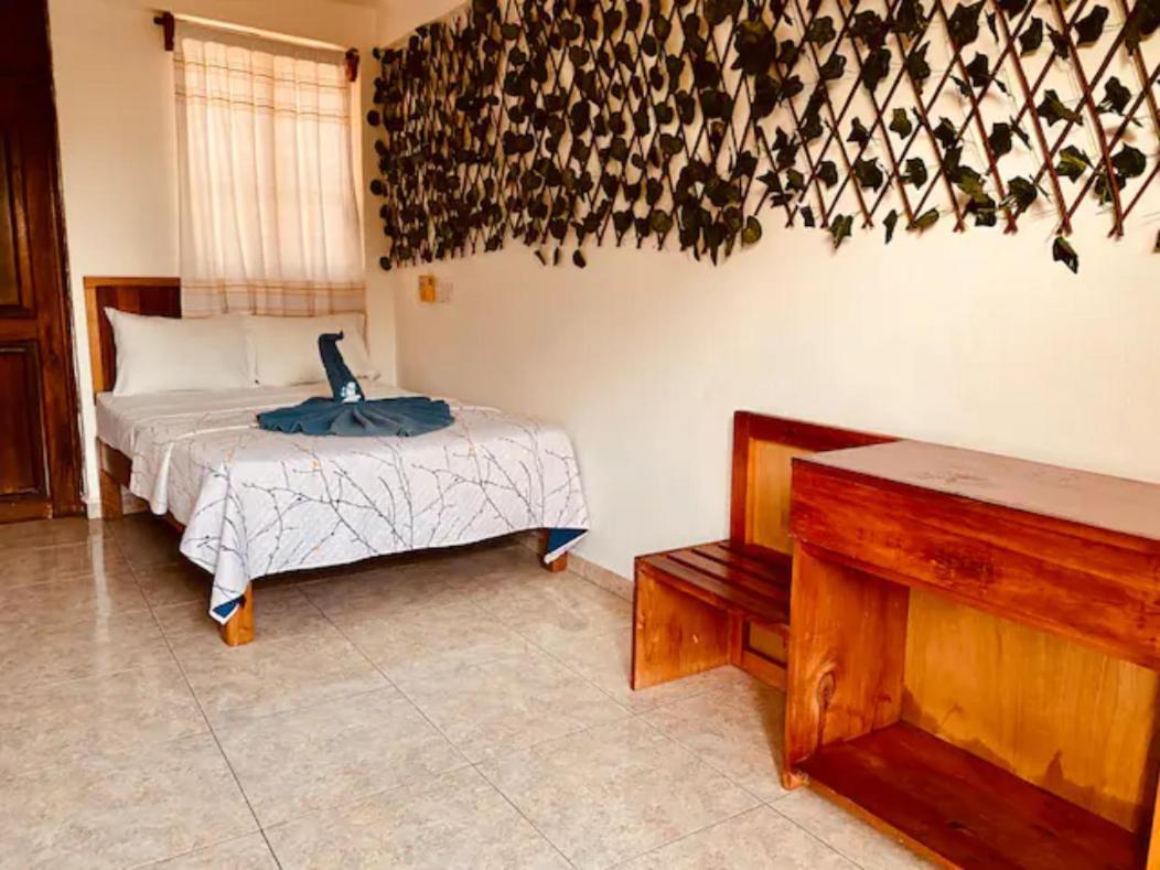Hotel Ximajo Nieto Puerto Escondido  Exteriér fotografie